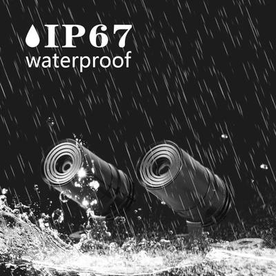 Angel Wing LED Light